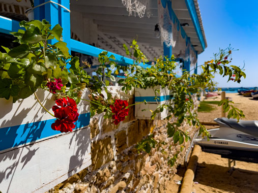 LobSTAR Veranda Detail on External Flowers