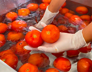 good food lab vegetables sanitizing