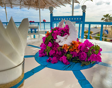 lobstar seafood restaurant santa maria sal terrazza terrace terraco events table decor