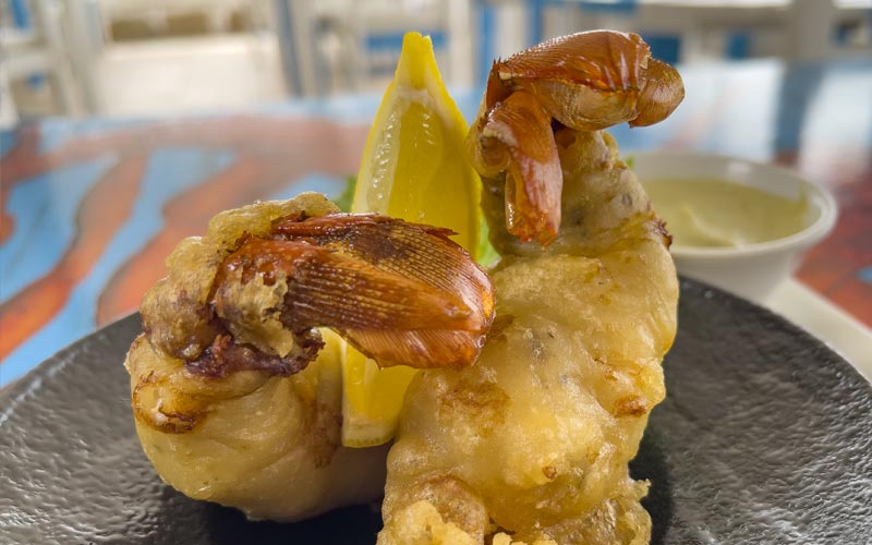 PalmBeach Tropical Restaurant | Tiny Spiny Lobster Tempura | tempura fried spiny lobster tails, served in a tartar sauce with capers and mayonnaise