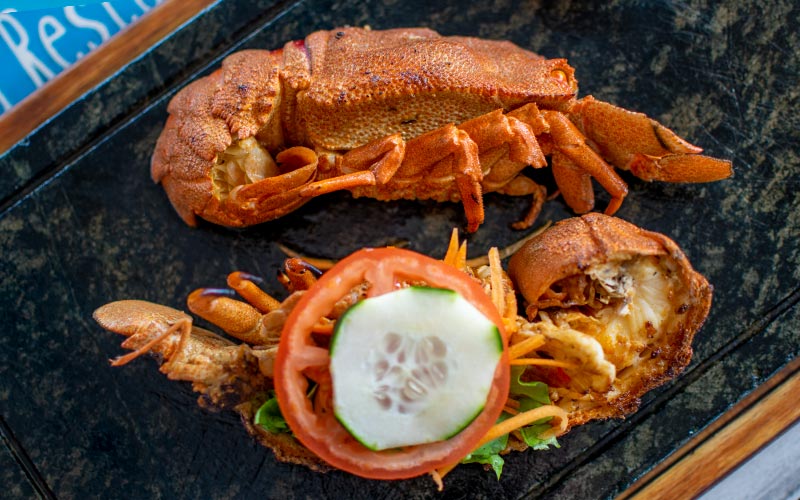 PalmBeach Tropical Restaurant | Slipper LobStar Grill (price per 100 grams) | (min. 500g), cooked on the grill and served with crioula sauce and sour salad. According to availability and sold by weight