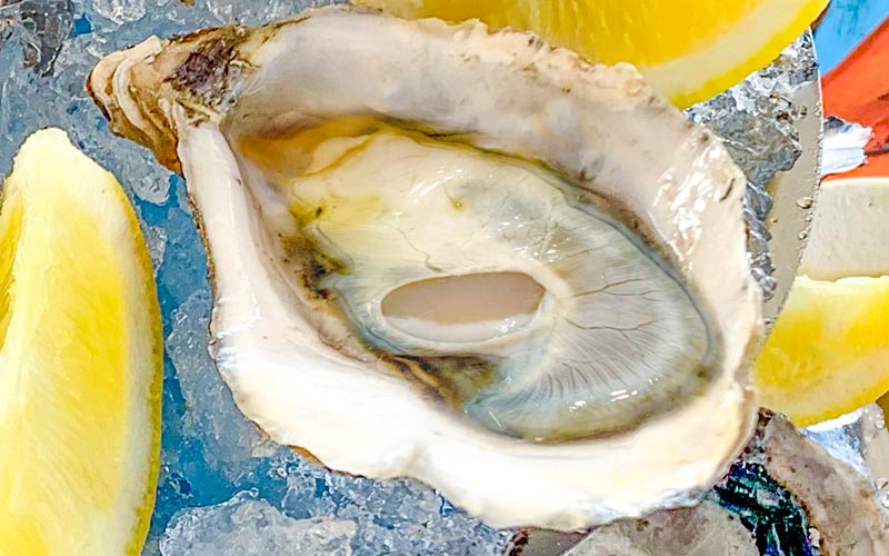 PalmBeach Tropical Restaurant | Concave Oyster from Brittany, caliber 2 | renowned oyster (Crassostrea Gigas), produced with totally natural methods in the marine parks of Brittany, France. (Price each)