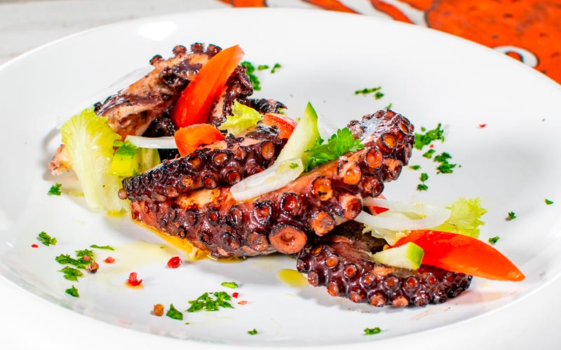 PalmBeach Tropical Restaurant | Grilled Octopus | with fresh salad