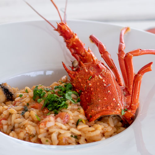 LobStar Enjoyable Seafood Restaurant | Spiny Lobster Risotto | carnaroli rice creamed with lobster meat and fresh tomato, blended with sparkling wine