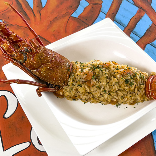 LobStar Enjoyable Seafood Restaurant | Spiny Lobster Risotto | carnaroli rice, spiny lobster, fresh tomato
