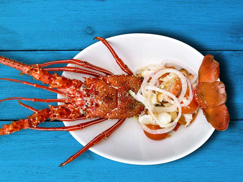 LobStar Enjoyable Seafood Restaurant Oyster Bar Santa Maria Pier Cape Verde Tasting Lobster Menu