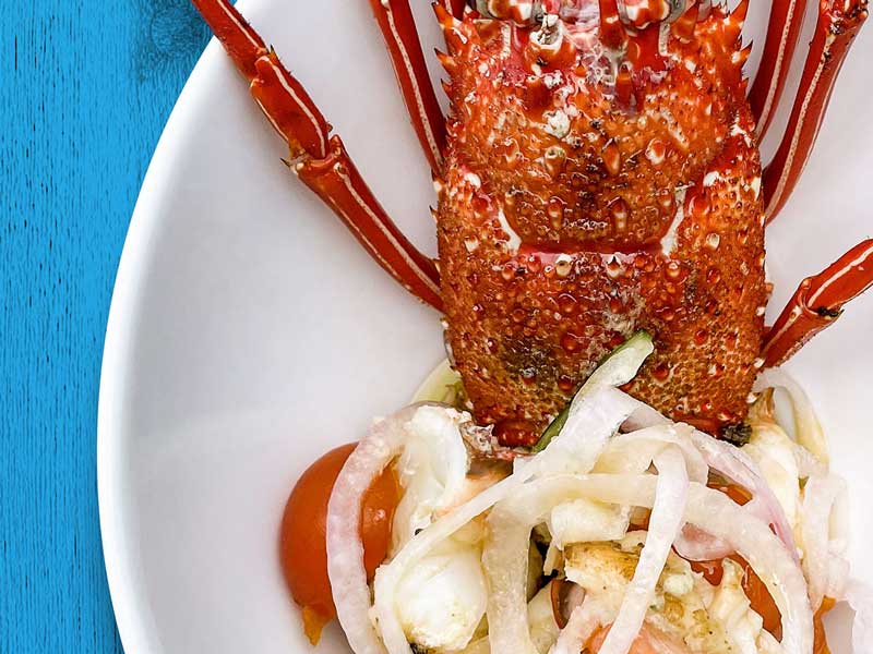 LobStar Enjoyable Seafood Restaurant Oyster Bar Santa Maria Pier Cape Verde Tasting Lobster Menu