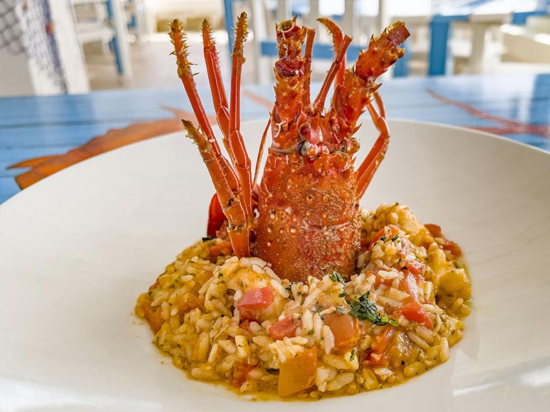LobStar Enjoyable Seafood Restaurant Santa Maria Pier Cape Verde Tasting Lobster Menu